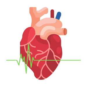 Cardio Vascular Surgery in India