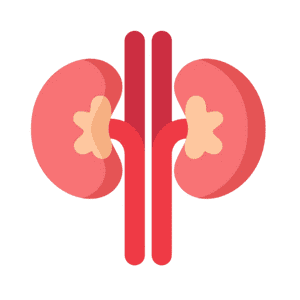 Nephrology(Kidney Specialists) in India