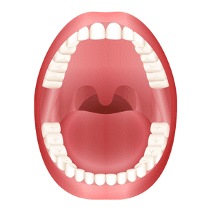 Oral & Maxillofacial Pathologist in India